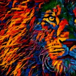 Lion in Colors